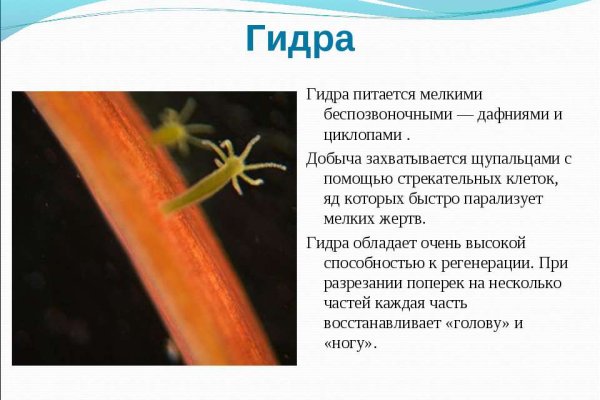 Кракен мага