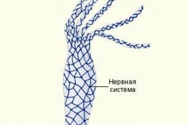 Kraken ссылка kraken link24 info