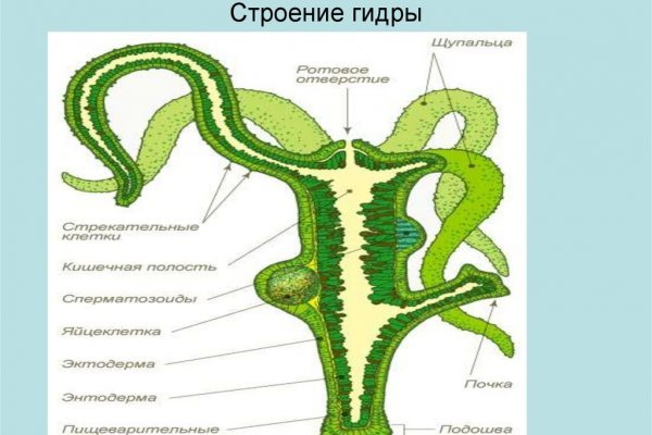 Кракен сайт нарк